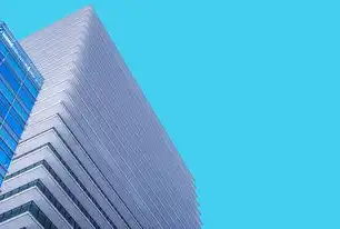 全面解析服务器托管与租用服务提供商的选择策略，服务器托管和租用公司的区别