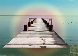 动态IP对SEO的影响，揭秘隐藏的秘密