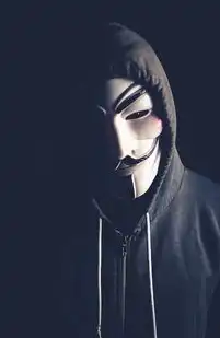探索无限可能，美国动态IP服务器的魅力与优势，外网ip动态