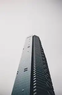 上海专业建设网站的崛起与未来趋势，上海专业建设网站设计