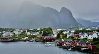 2020年广西乡村旅游发展报告，魅力无限，前景广阔，2020年广西乡村旅游数据图