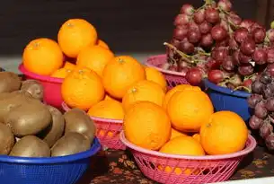 蔬菜销售网站源码，打造高效、便捷的在线购物体验，蔬菜销售网站源码有哪些