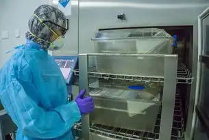 安全审计设备安装位置的选择与部署策略，安全审计设备安装哪里比较好