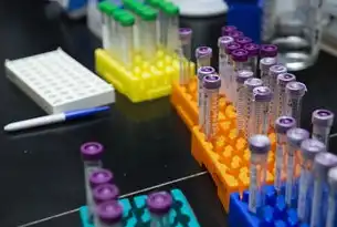 数据库，结构化数据的基石，数据库是一种结构化的数据集合吗对吗
