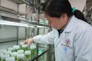 陕西医保服务平台异常问题解析与解决方案，陕西医保服务平台异常怎么解决