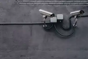 智能巡检监控系统的创新应用与未来展望，智能巡检监控系统设计