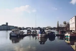远程桌面授权服务器的许可证管理，确保安全与合规，远程桌面授权服务器提供许可证是什么