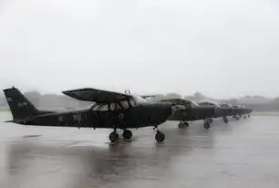 航空摄影数据处理，解锁地球表面的多维信息，航空摄影直接获取的数据主要是