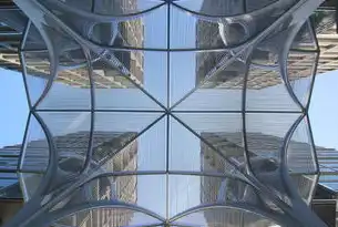 北京SEO行业领军企业，揭秘其成功秘诀与市场地位，北京seo最大的公司是哪家