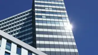 共享服务器建设方案，构建高效、稳定的企业级数据中心，公司共享服务器搭建