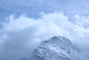 混合云的弊端，探索其潜在风险与挑战，混合云的优缺点