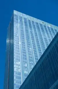 德州专业网站建设公司，打造您的网络品牌新高度，德州网站建设公司排名