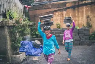 G3SEO，揭秘搜索引擎优化背后的秘密