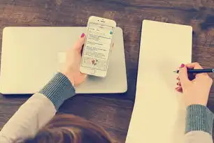 数据挖掘术语解析，深入理解数据科学的核心概念，数据挖掘名词解释题及答案大全