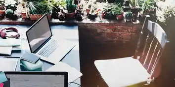 小程序网站建设，助力企业数字化转型新篇章，小程序网站建设的公司叫什么