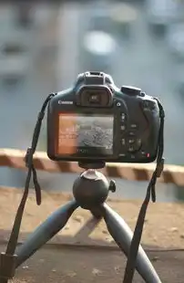 探索Photoshop的世界，从初学者到专业设计师，ps网站网页版