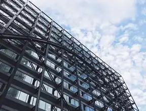 云服务器搭建三维图像，探索虚拟世界的无限可能，云服务器构建