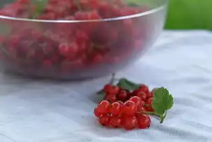 水果网站源码，打造完美在线购物体验，关于水果网站代码