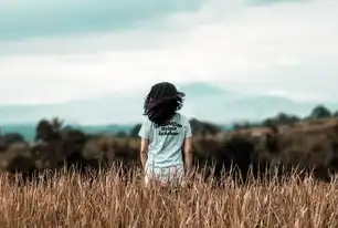 如何高效选择适合自己的关键词，如何选好关键词