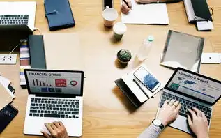 重要数据处理的策略与实施，重要数据的处理者应当按照规定
