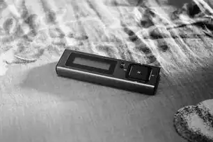 网站音频播放器源码解析与开发指南，网站音频播放器源码怎么看