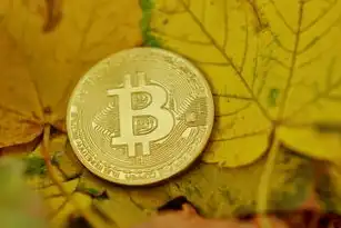 揭秘SEO付费推广策略，助力企业快速提升网站排名，seo付费推广在哪个平台