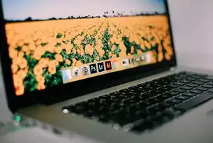 华为nova如何开启软件存储权限？华为nova7储存权限