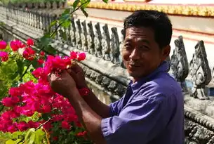村(社区)后备干部，培养与发展的新篇章，村社区后备干部面试题