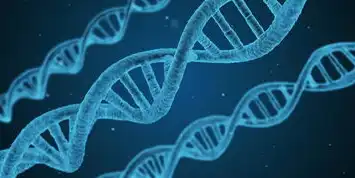 微服务架构实现模式的创新实践与探索，微服务架构的实现