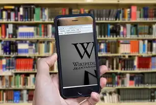 数据备份的主要方式及其特点与作用解析，数据备份的主要包括
