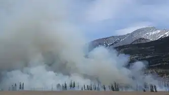 灾难响应与恢复计划（DRR Plan）灾难响应恢复计划怎么写报告