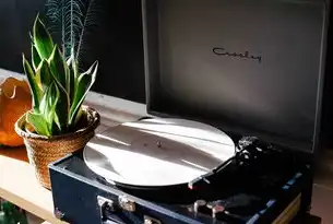 计算机视觉技术在智能交通中的应用，计算机视觉具体案例