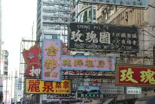 上海关键词，繁华与历史交织的城市魅力，上海 关键词