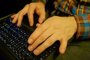 揭秘SEO优化技巧，助力企业实现高效转化，有转化的关键词有哪些