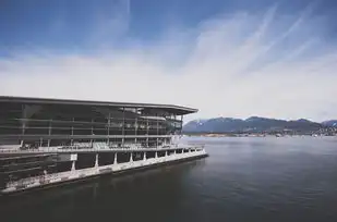 数据湖项目实战，构建高效的数据分析平台，数据湖概念
