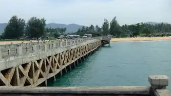 远程桌面连接故障排查与解决方案，远程桌面提示无法连接