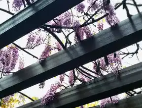 杭州市民公园及公共配套设施建设项目的创新与展望，杭州市民公园及公共配套基础设施项目土建工程