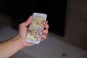 智能语音识别技术，开启未来沟通的新篇章，智能语音识别软件