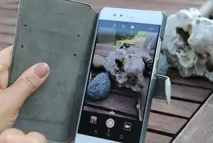 合肥SEO团队，揭秘网站优化背后的秘密，合肥seo代理