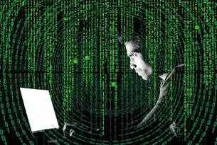 标签指的是故意编写与实际内容不符的标题，旨在吸引更多点击率。这类标题往往夸大事实或者使用耸人听闻的语言，最终导致用户感到失望或者产生负面情绪。黑帽关键词排名