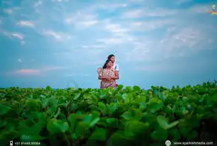 婚纱摄影网站，捕捉永恒幸福的瞬间，婚纱摄影网站的设计与实现