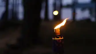 实时追踪，探索服务器时间的奥秘，页面动态显示服务器时间不对