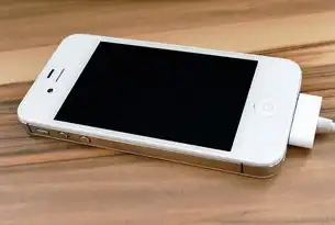 30M与200M服务器性能对比，揭秘背后的差异，服务器30mbps