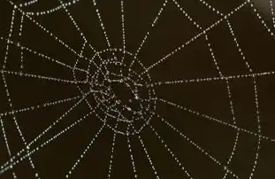 简单的静态新闻ASP网站源码解析与实现，怎么做一个静态的新闻网页