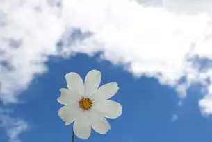 蒲公英云管理平台无法访问？快速解决故障指南，蒲公英云管理页面