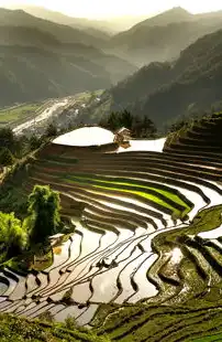旅游景区所属行业类别的填写指南与案例分析，旅游景区属于什么行业类型