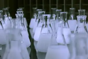 容器技术的多样化应用与发展趋势，容器技术是什么意思