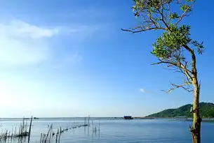 数据湖，存储与处理的终极解决方案，什么是数据湖?