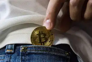 桌面虚拟化技术的创新与发展，重塑IT基础设施的未来，桌面虚拟化技术实施报告