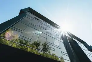 域名服务器的选择与优化策略，打造高效稳定的网络环境，域名服务器有